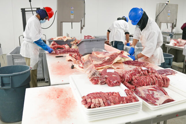 pexels-mark-stebnicki-7163987