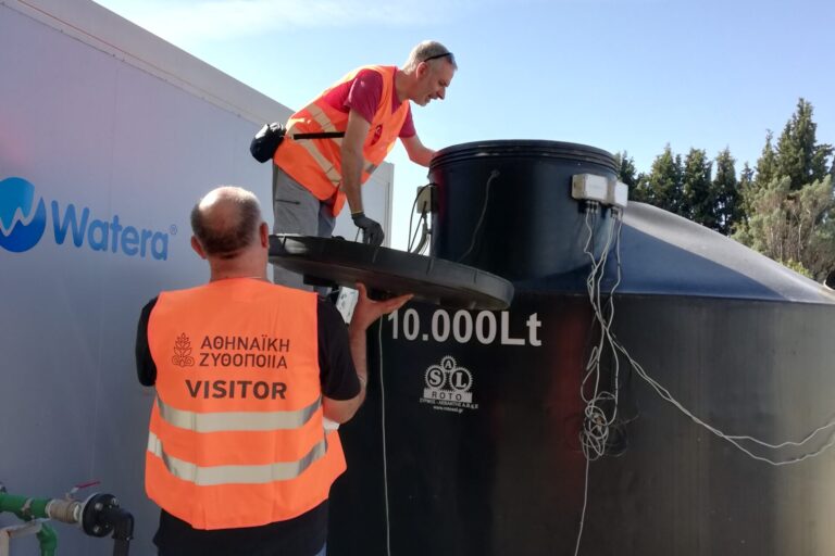 IMG_20241015_113850 1